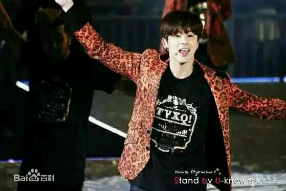 郑允浩(ユンホ（ユノ）、Jung Yunho、Jeong Yoonho)-演唱会舞台图片图集