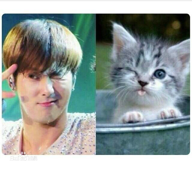 郑允浩(ユンホ（ユノ）、Jung Yunho、Jeong Yoonho)软萌可爱的图片图集