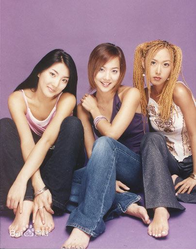 S.M.家族( TOWN)解约艺人壁纸壁纸