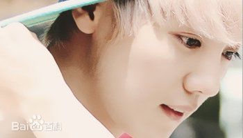 S.M.家族( TOWN)解约艺人壁纸壁纸