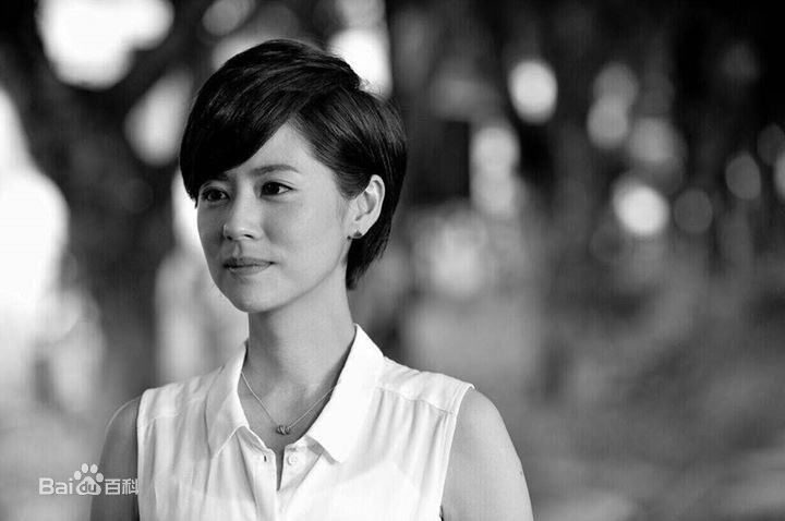 林予晞(Allison)前后照片