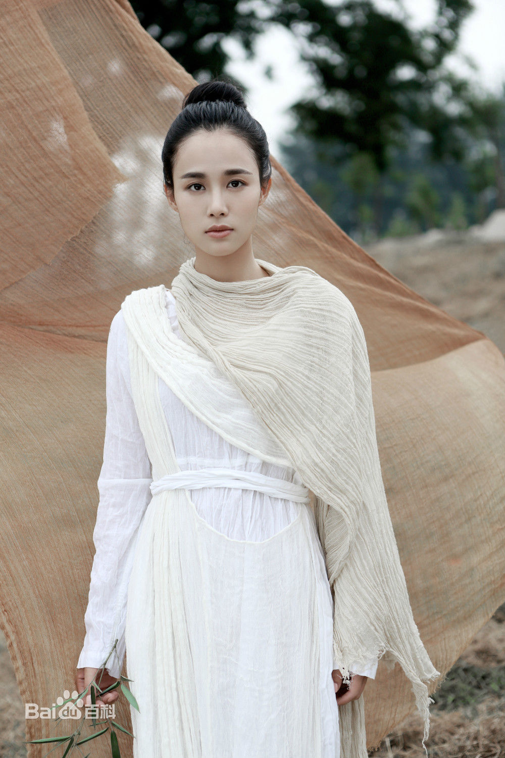 黄锶骐最新展现古典美壁纸