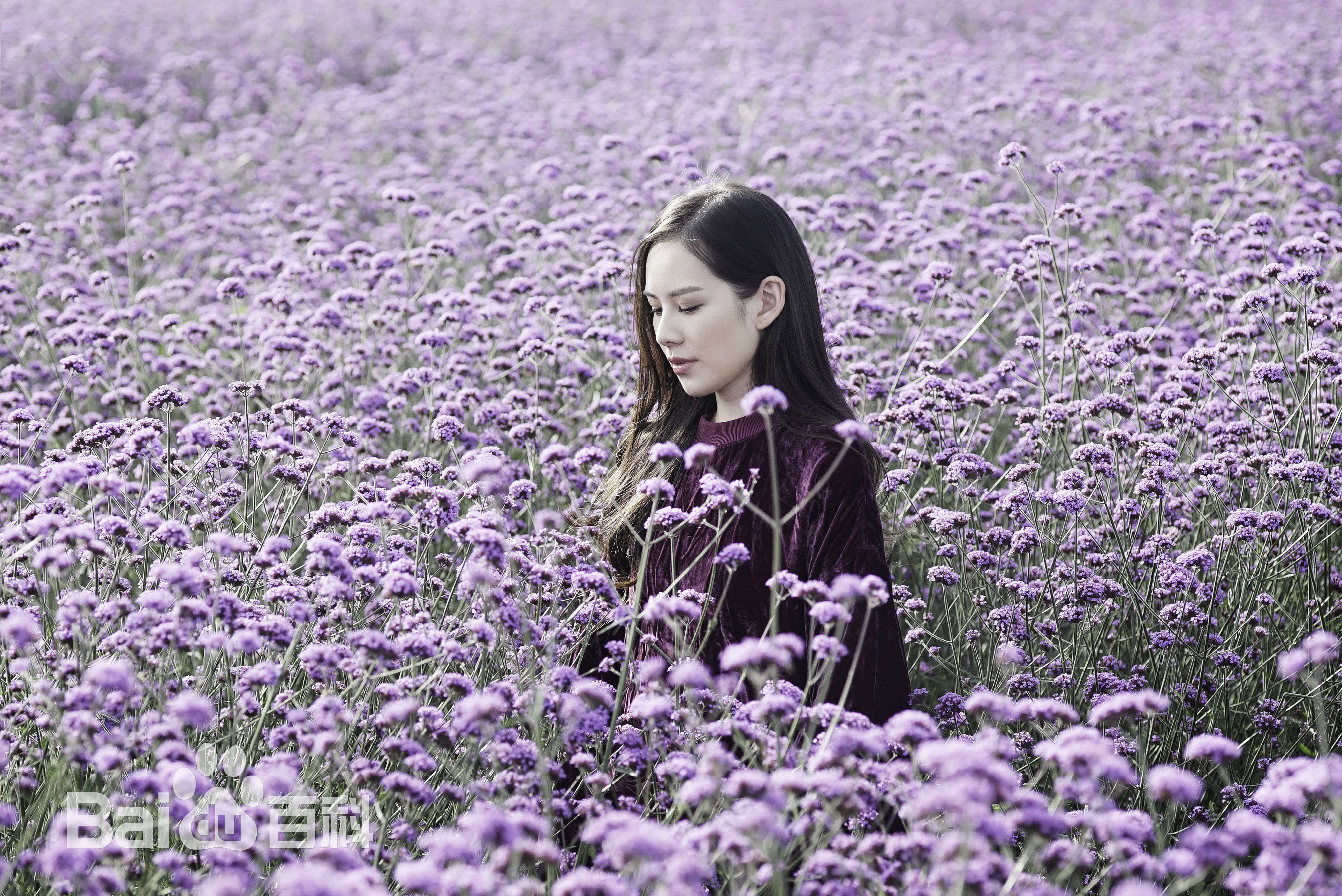 最全王诗安(Diana Wang)素颜照