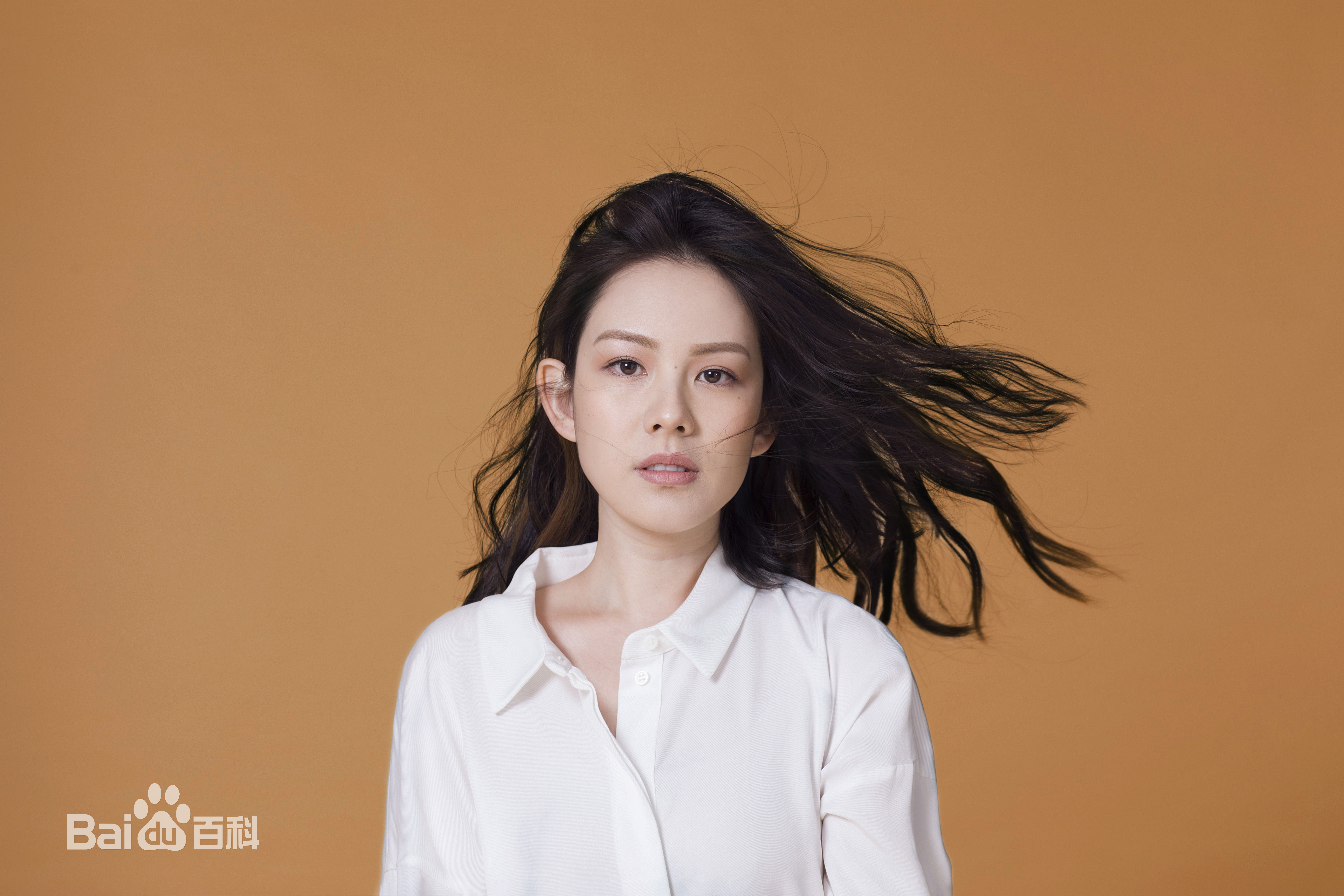 精选王诗安(Diana Wang)