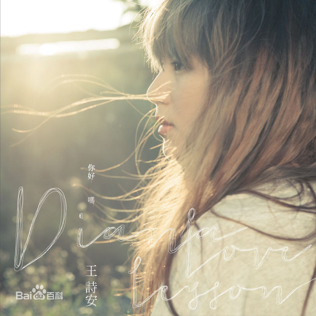 精选王诗安(Diana Wang)