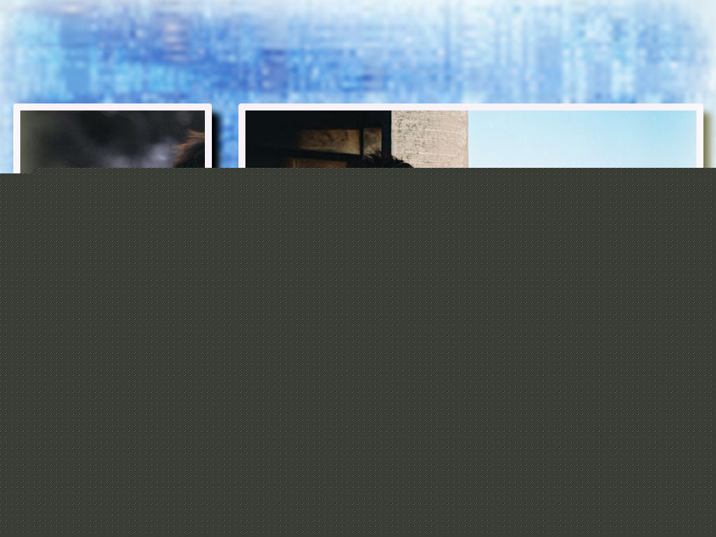 精选陈信宏(Ashin)精彩图册