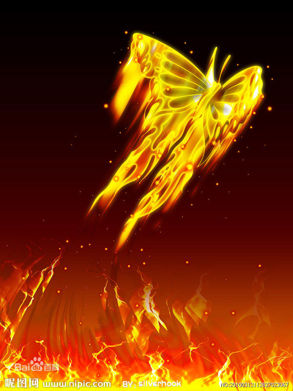 高清伍伟乐(IDEA NG)性感图片