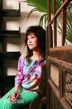 最新胡美仪(Amy Hu)壁纸