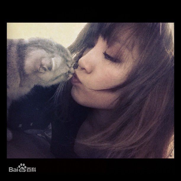 孟佳(Jia)生活中的佳壁纸壁纸