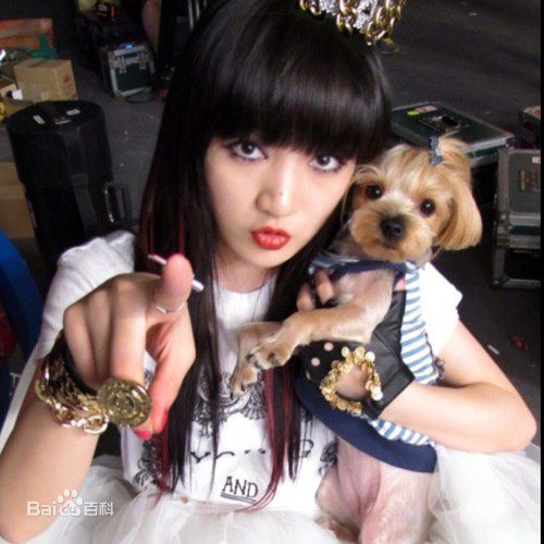 孟佳(Jia)生活中的佳壁纸壁纸