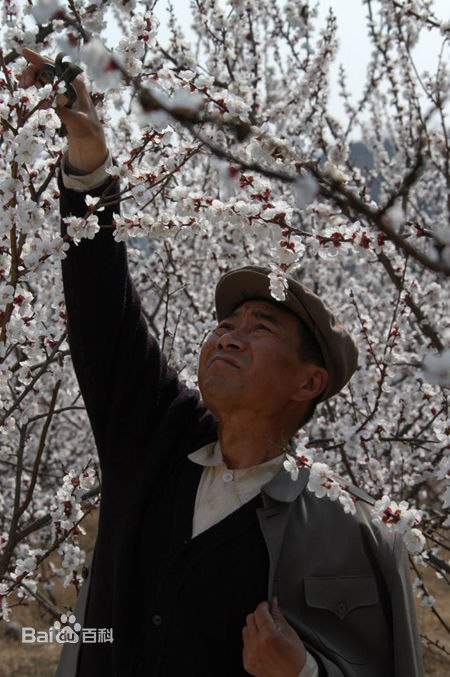 何涌生高清剧照