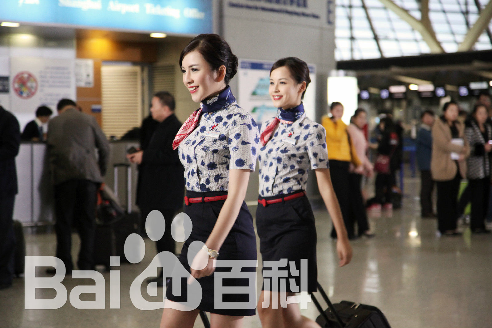 刘宇珽(Teresa)高清剧照