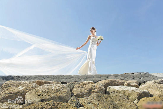 陈敏之(Sharon Chan)婚礼现场图片图集