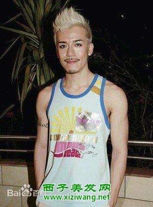 沈震轩(Sammy Sum、Kobe)影视作品前后照片