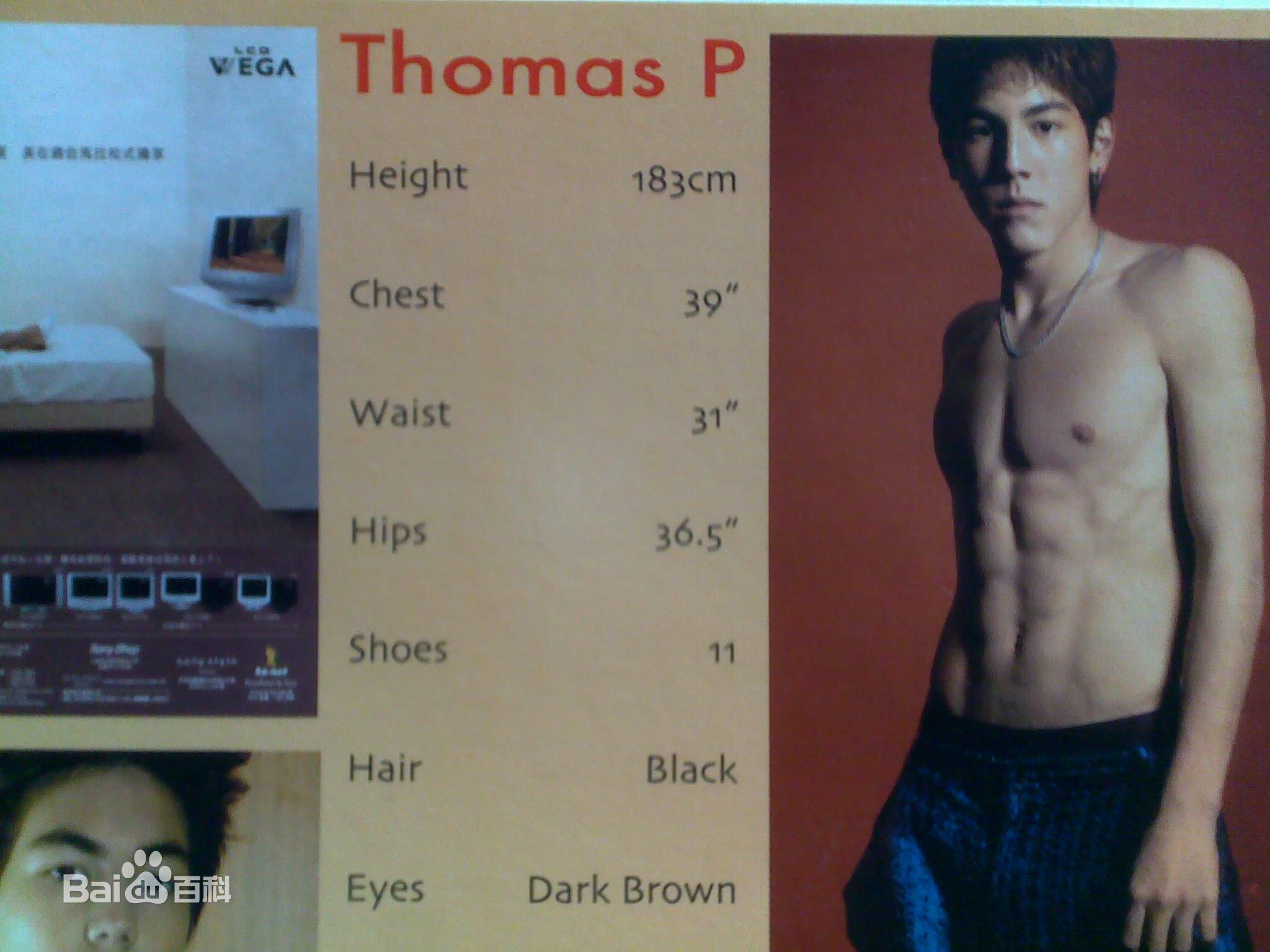 最优质白梓轩(Tom Bai)精彩图册