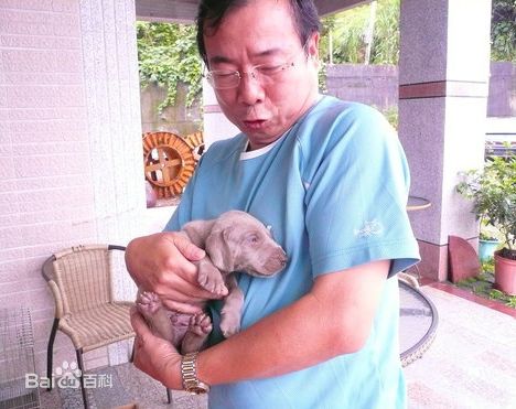 高清廖峻精彩图册