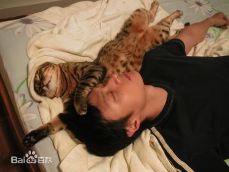 倪震(Joe Nieh)婚纱及生活照性感图片图集