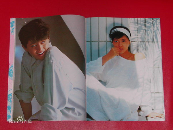 高清柏原芳惠精彩图册