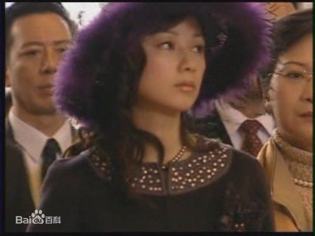 嘉碧仪(jia Bi yi) 电视剧 最全剧照