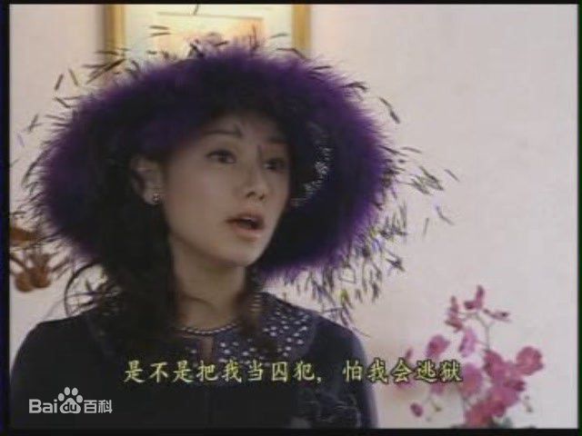 嘉碧仪(jia Bi yi) 电视剧 最全剧照