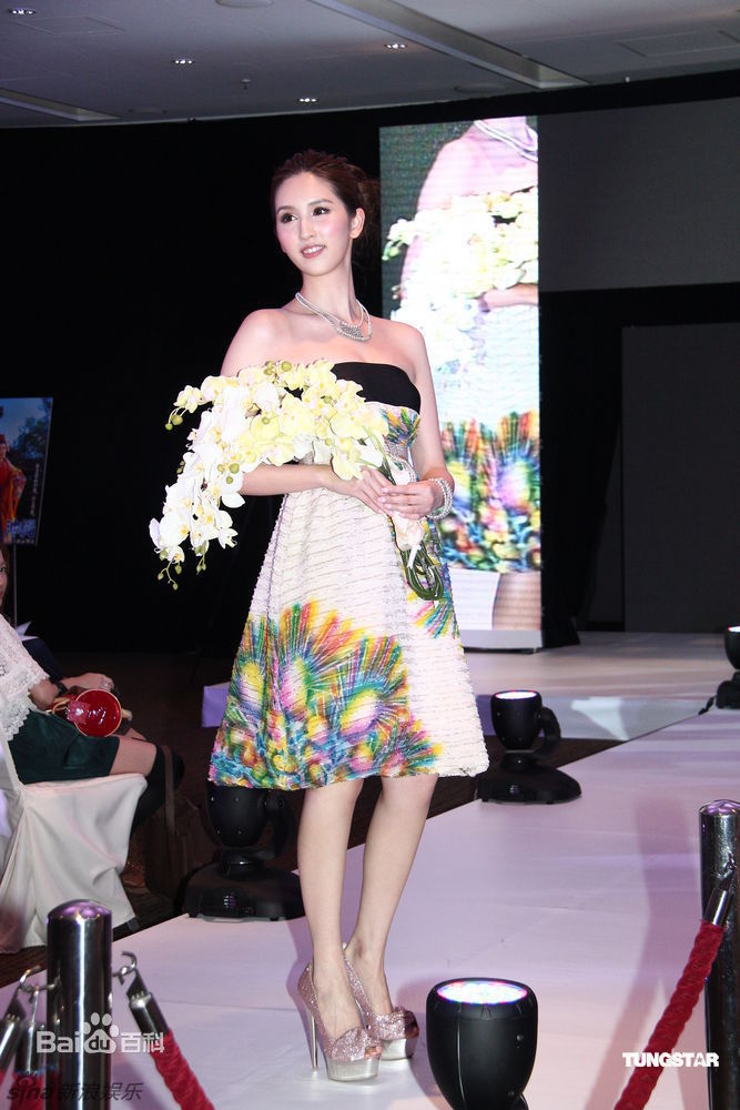 最新何傲儿(Lily Ho)精彩图册