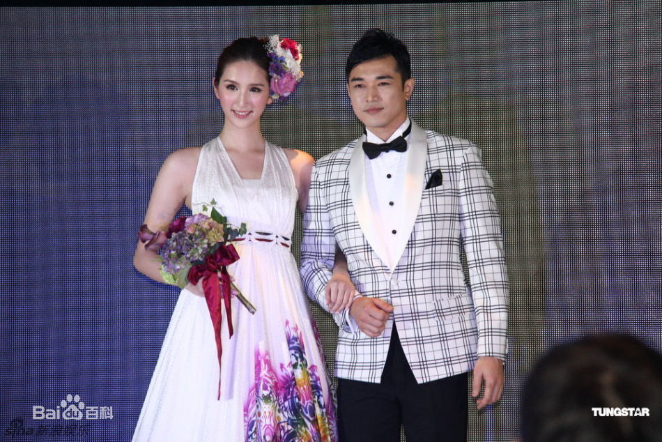 最新何傲儿(Lily Ho)精彩图册