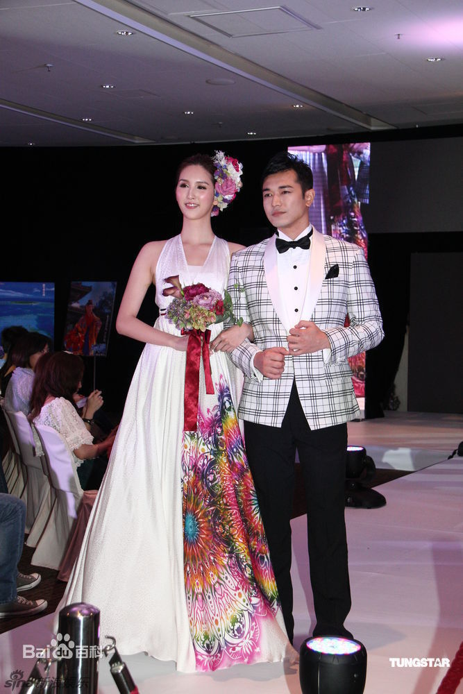 最新何傲儿(Lily Ho)精彩图册