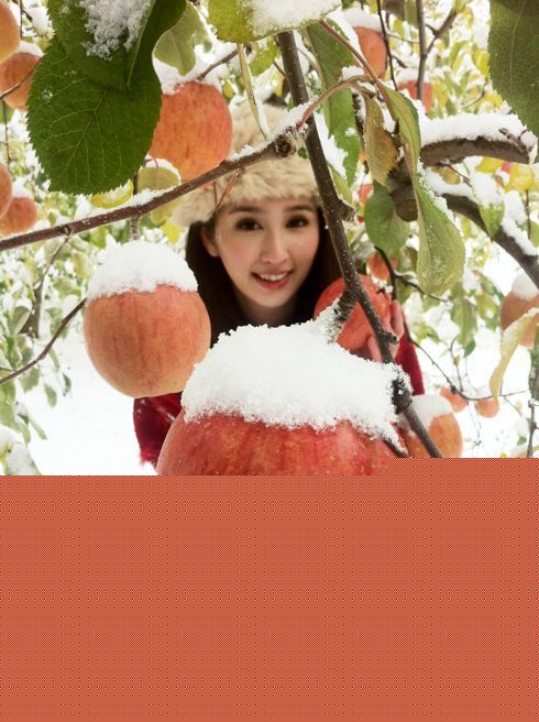 何傲儿(Lily Ho)精彩图册