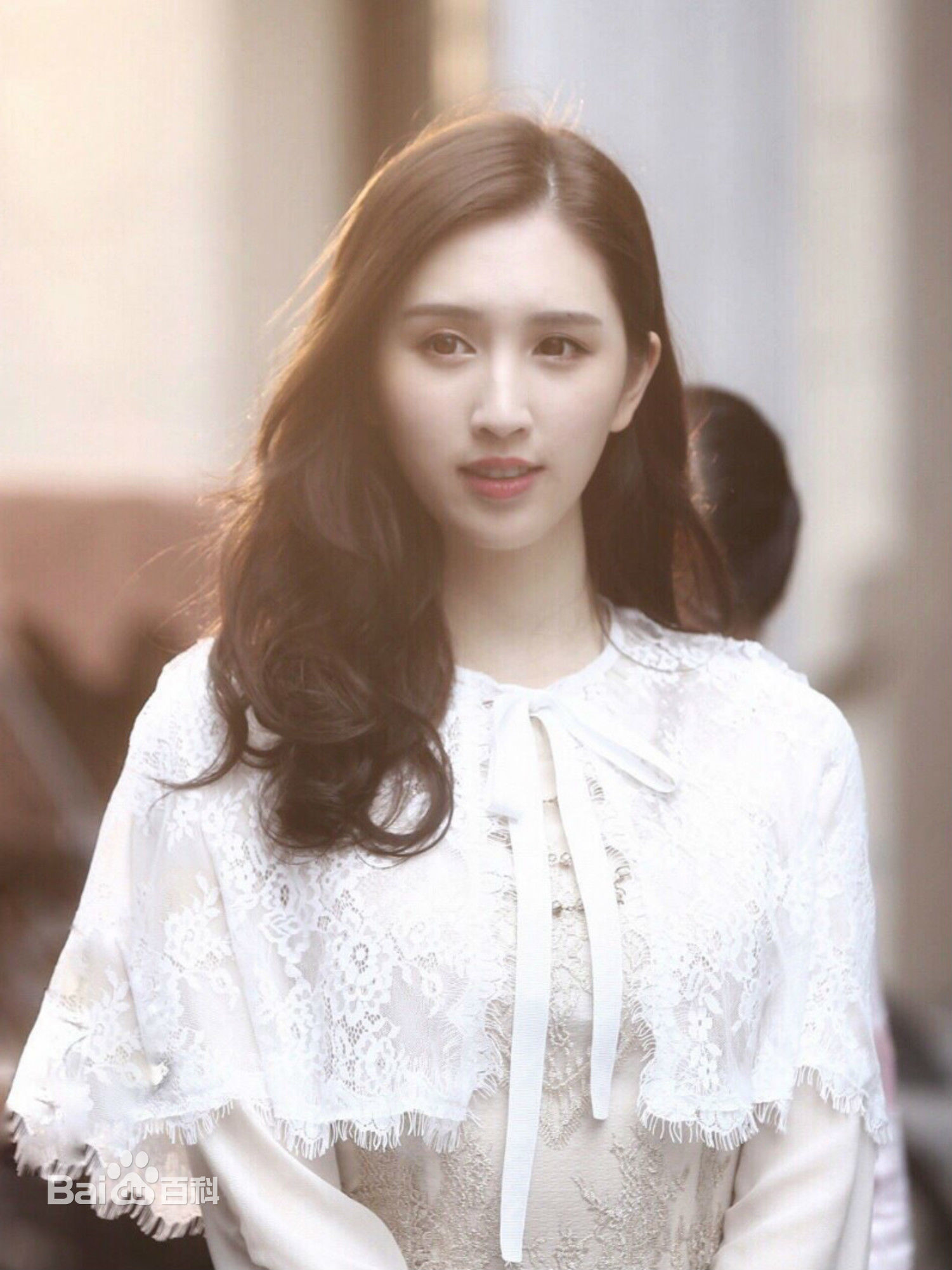 精选何傲儿(Lily Ho)