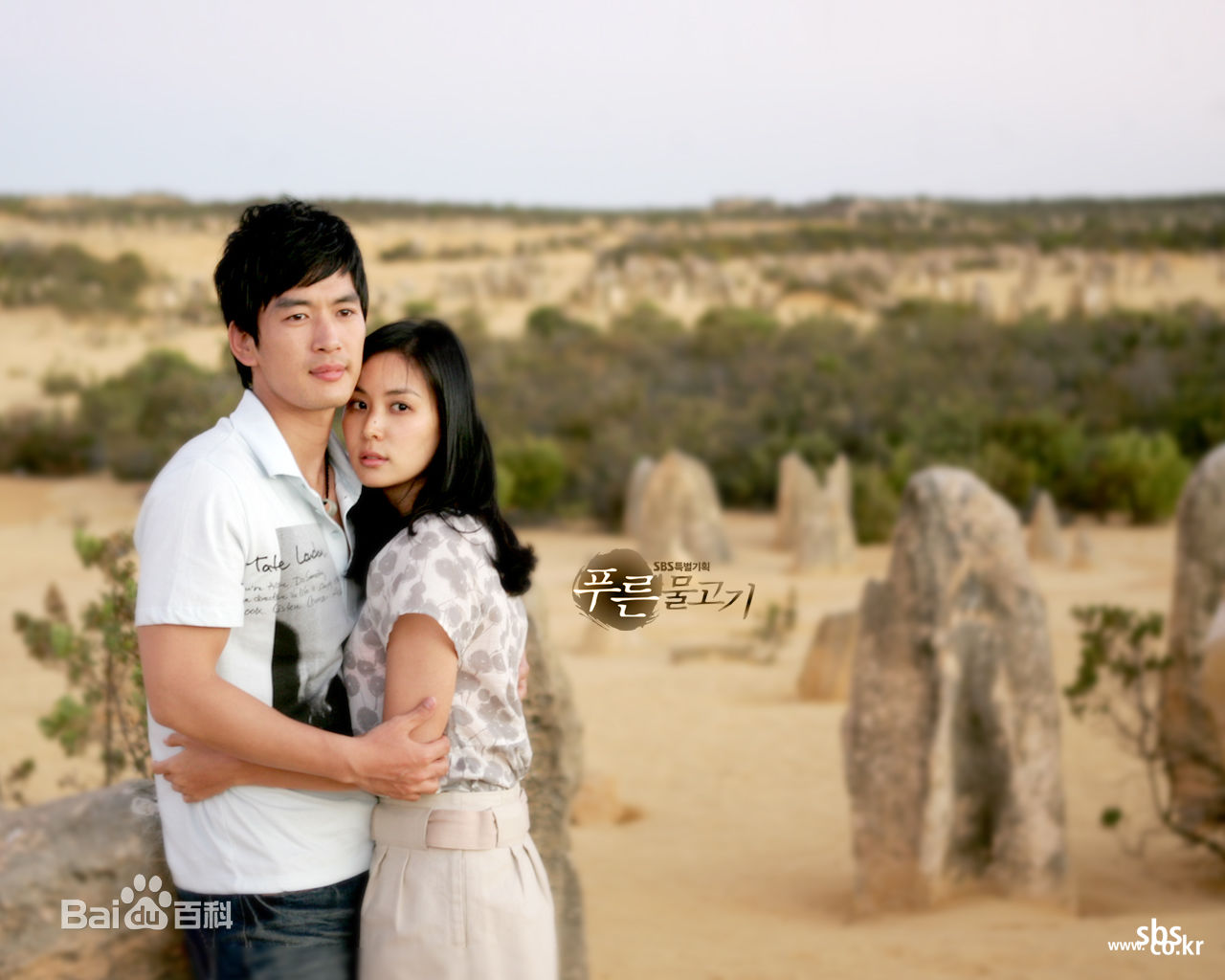 柳泰俊最优质剧照