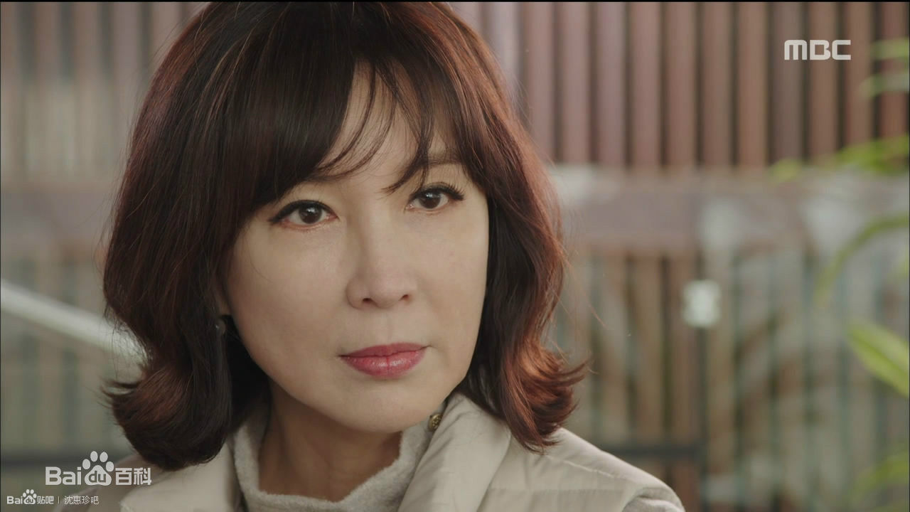 最新沈惠珍(/Shim Hye-jin)性感图片