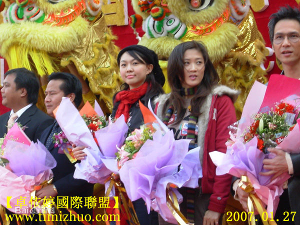 袁洁仪(Kiwi)出席活动壁纸壁纸