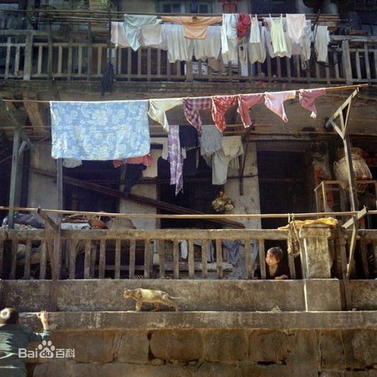 最全何藩(Ho Fan)在代表作品《那是》中的壁纸