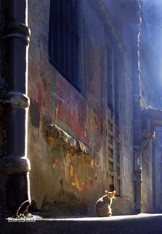 何藩(Ho Fan)何潘及其作品图片图集