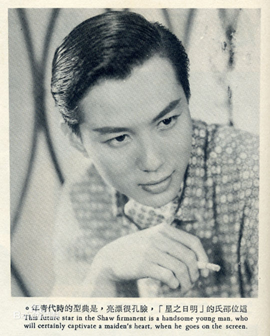 精选何藩(Ho Fan)