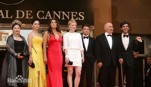 法提赫·阿金(Fatih Akin)出席戛纳国际电影节图片图集