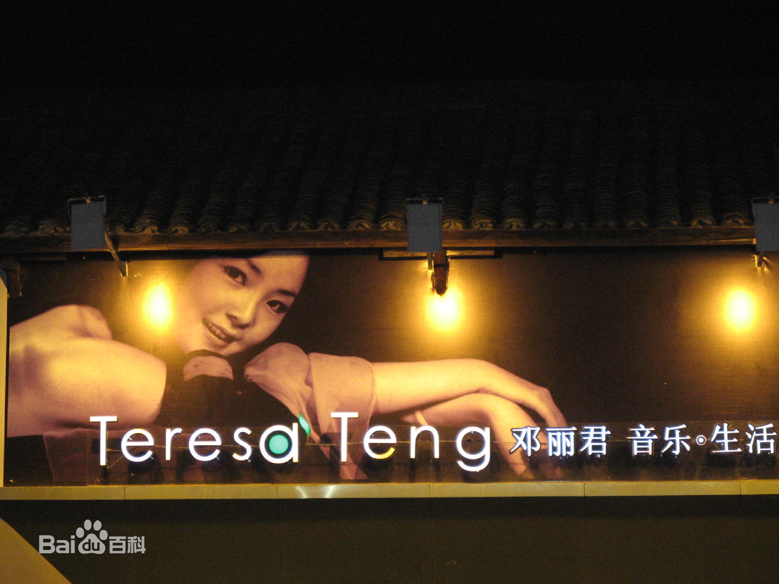 邓丽君(Teresa Teng、テレサ·テン)后世纪念资料素颜照相册