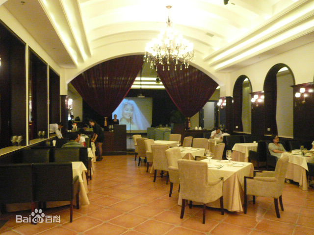 邓丽君(Teresa Teng、テレサ·テン)后世纪念资料素颜照相册