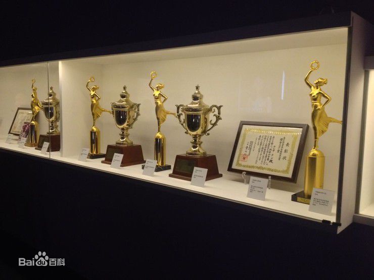 邓丽君(Teresa Teng、テレサ·テン)后世纪念资料素颜照相册