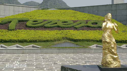 邓丽君(Teresa Teng、テレサ·テン)后世纪念资料素颜照相册