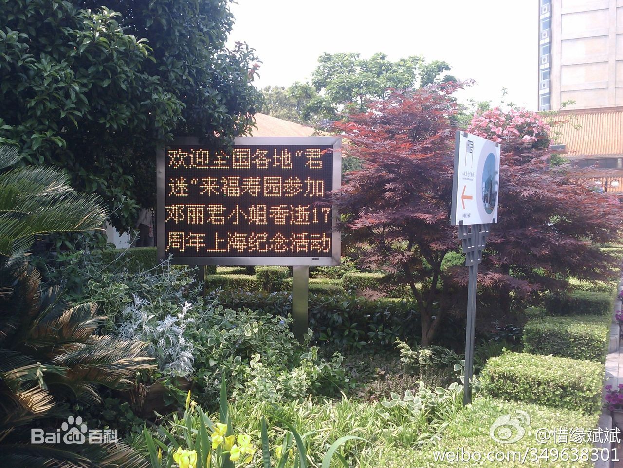 邓丽君(Teresa Teng、テレサ·テン)后世纪念资料素颜照相册