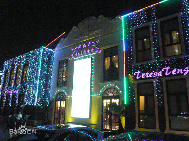邓丽君(Teresa Teng、テレサ·テン)后世纪念资料素颜照相册