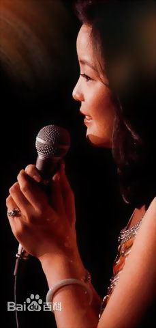 邓丽君(Teresa Teng、テレサ·テン)1977日本新桥演唱会生活照相册