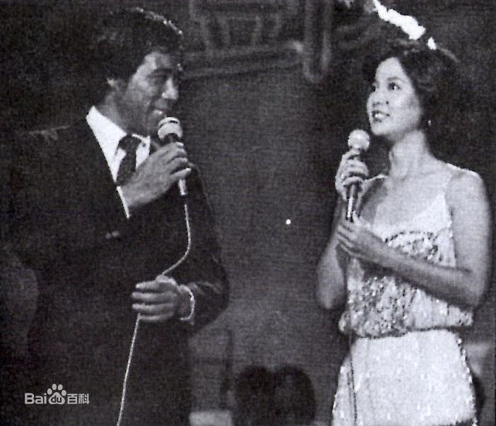 邓丽君(Teresa Teng、テレサ·テン)1980国父纪念馆演唱会图册