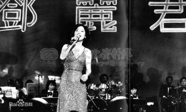 邓丽君(Teresa Teng、テレサ·テン)1980国父纪念馆演唱会图册