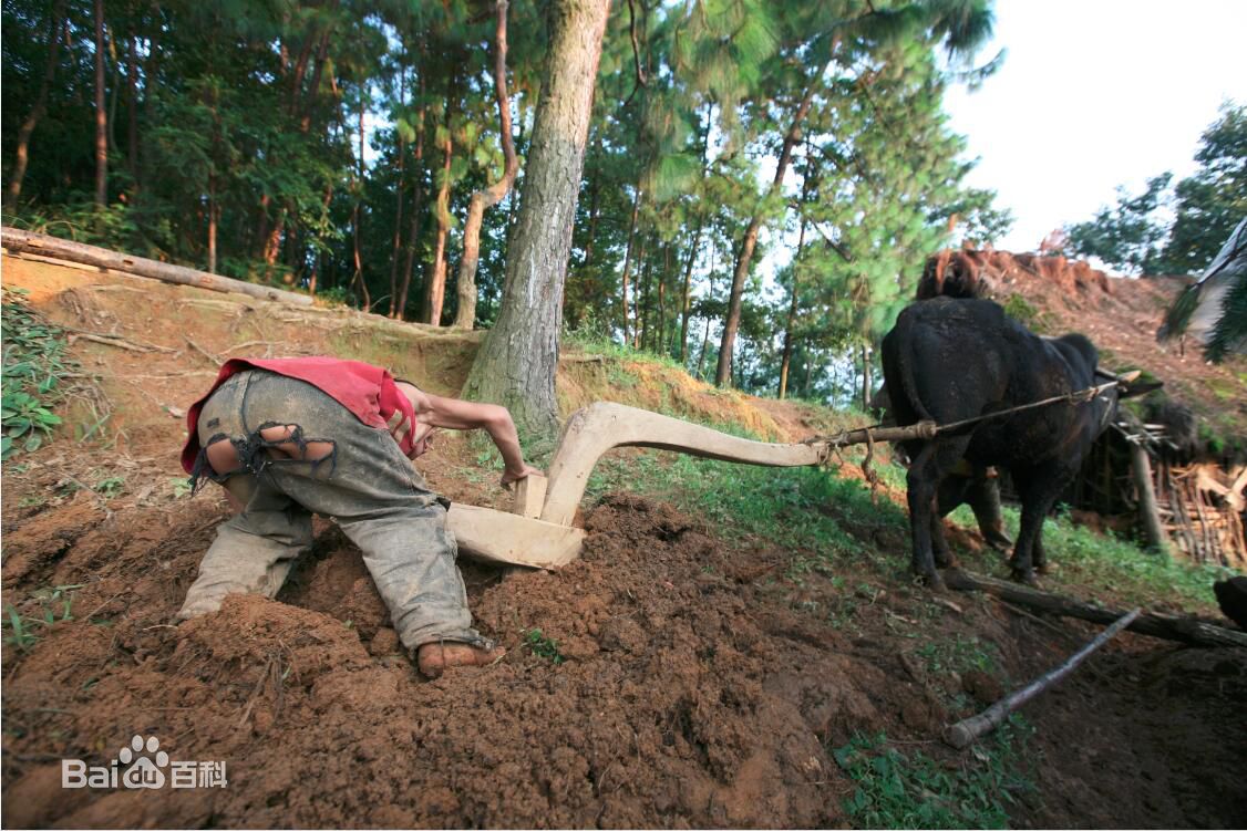 张仁杰(renjiezhang)拍摄并帮助的人群。图片图集