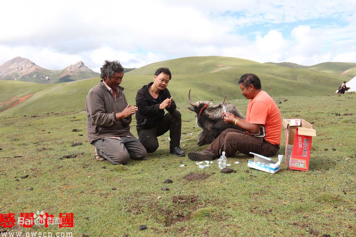 张仁杰(renjiezhang)常年行走在山区农村等地采写。素颜照相册