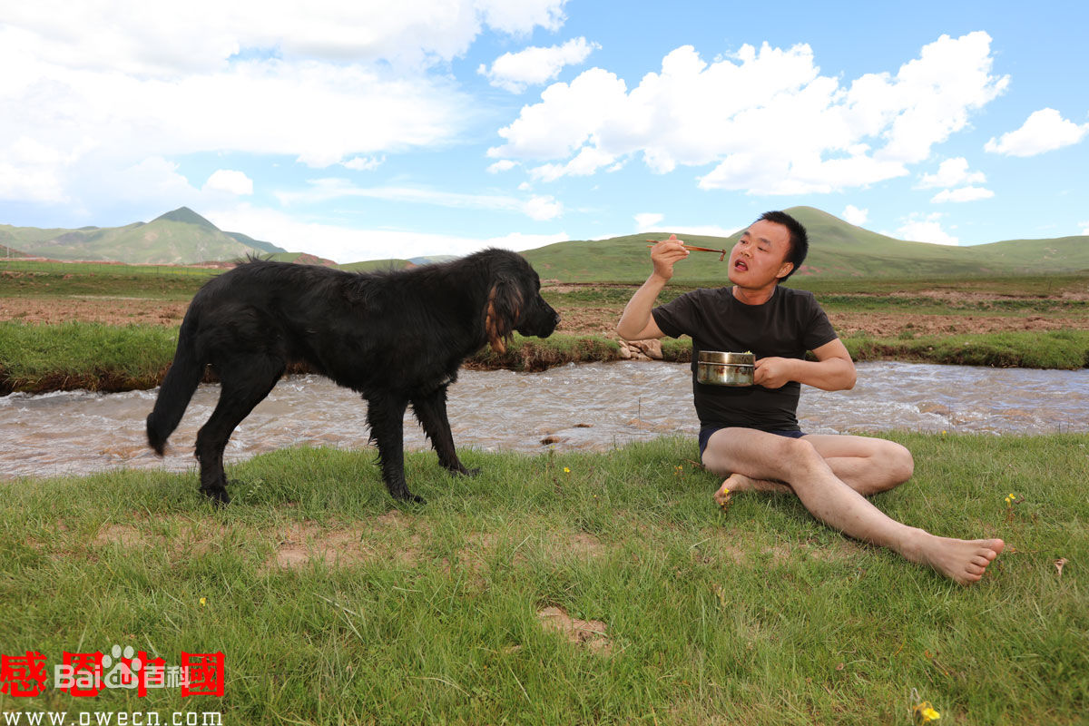 张仁杰(renjiezhang)常年行走在山区农村等地采写。素颜照相册