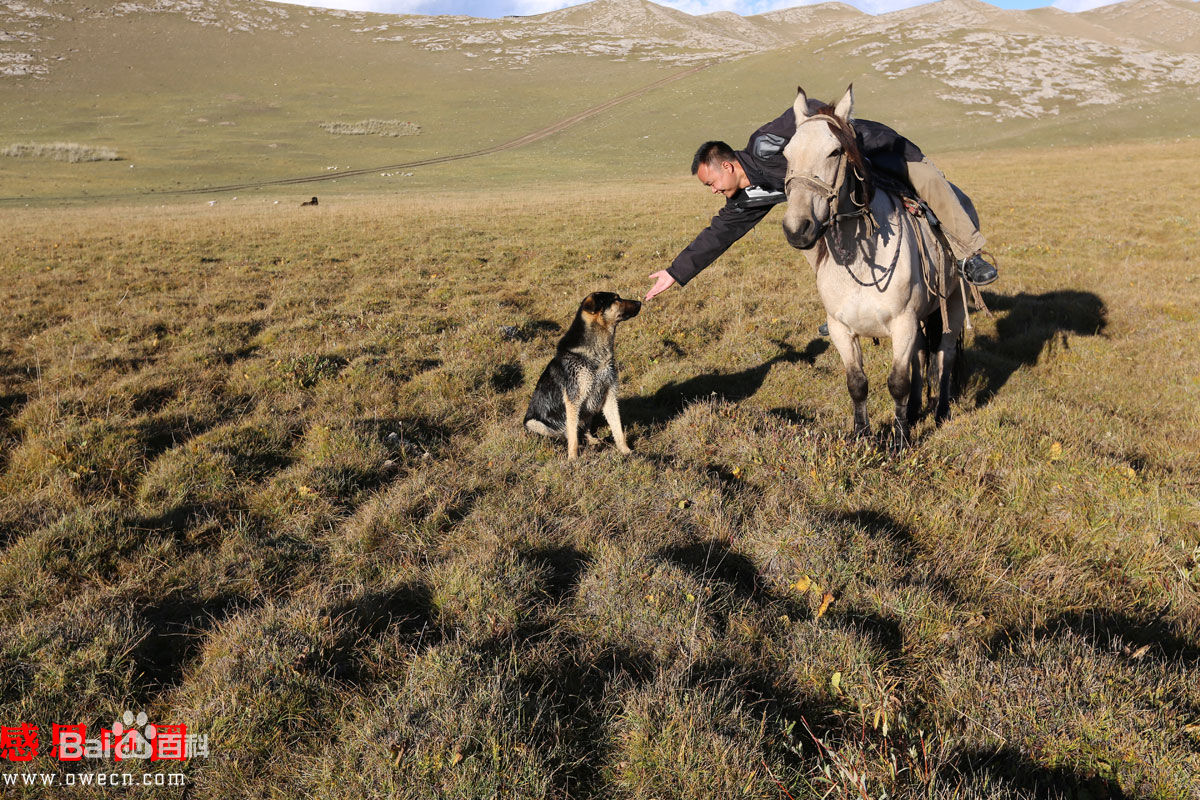张仁杰(renjiezhang)常年行走在山区农村等地采写。素颜照相册