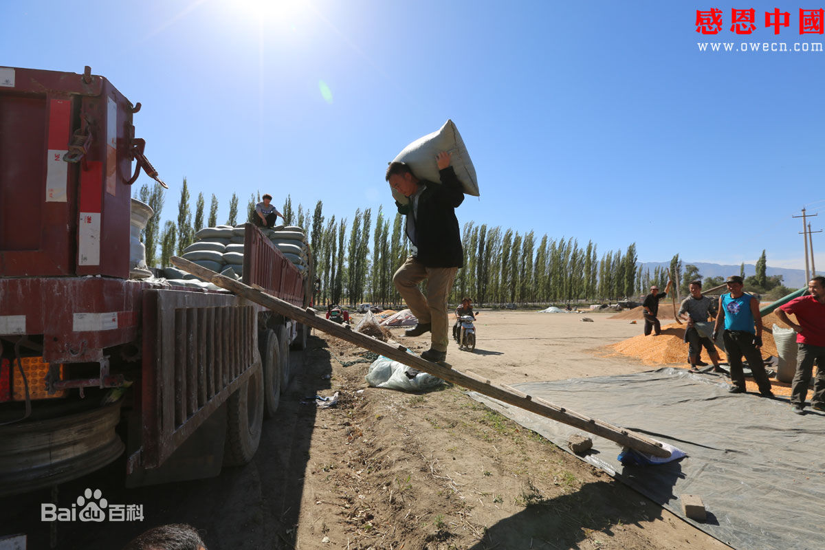 张仁杰(renjiezhang)和采写人物在一起的照片。性感图片壁纸